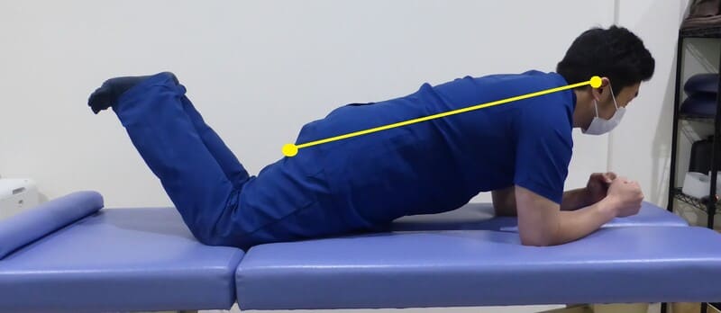 膝つきプランク